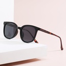 Retro TR ferrule polarized sunglasses fashion Korean style cat eye sunglasses wholesalepicture1