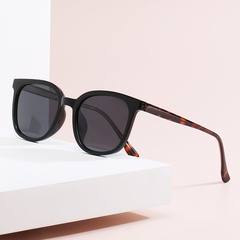 Retro-TR-Zwinge polarisierte Sonnenbrillen arbeiten im koreanischen Stil mit Katzenaugen-Sonnenbrillen im Großhandel um