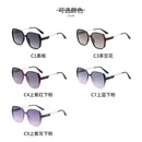 New Retro TR Polarized Sunglasses Fashion Ladies Sunglasses Wholesalepicture3