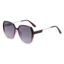 New Retro TR Polarized Sunglasses Fashion Ladies Sunglasses Wholesalepicture4