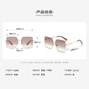 Fashion Nylon Sunglasses Square Sunglasses Wholesalepicture2