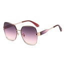 Frameless trimmed nylon polarized sunglasses Korean style large frame sunglassespicture4