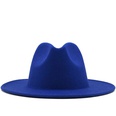new multicolor wide brim woolen hat jazz hatpicture18