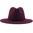 new multicolor wide brim woolen hat jazz hatpicture30