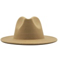 new multicolor wide brim woolen hat jazz hatpicture37