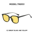 Retro TR ferrule polarized sunglasses fashion Korean style cat eye sunglasses wholesalepicture7