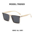 fashion TR polarized sunglasses Korean style sunglasses wholesalepicture8