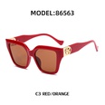 Retro cat eye big square frame sunglasses fashion trendy sunglassespicture7