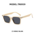 TR Polarized Sunglasses Fashion Rice Nail Shades Square Sunglasses Wholesalepicture8