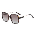 New Retro TR Polarized Sunglasses Fashion Ladies Sunglasses Wholesalepicture7