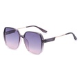 New Retro TR Polarized Sunglasses Fashion Ladies Sunglasses Wholesalepicture10