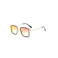 New Sunglasses Mens Personality Steampunk Sunglassespicture13
