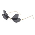 New Dragonfly Sunglasses Womens Fashion Wings Sunglasses Trendy Double Lens Party Ball Sunglassespicture14