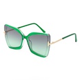 new butterfly shape large frame sunglasses wholesalepicture12