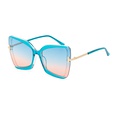 new butterfly shape large frame sunglasses wholesalepicture14
