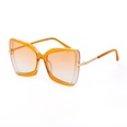 new butterfly shape large frame sunglasses wholesalepicture17