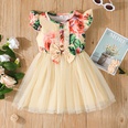 Baby Girl Printed Mesh Skirt Sweet and Cute Flying Sleeve Dresspicture27