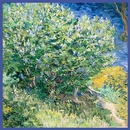 53 cm neuer Van Gogh lgemlde grn lila Damen Twill dekorativer Seidenschalpicture10