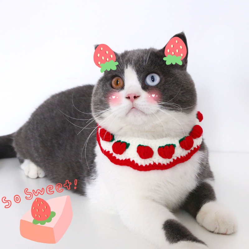 Pet Knitting Hand hkeln se Erdbeerschleife Katze Hundehalsband