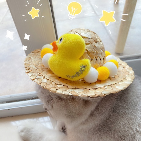 Pet cat dog rabbit summer cartoon yellow duck ball bean cute decoration hat NHDAY674970's discount tags
