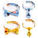 Pet antisuffocation bow tie fruit and vegetable cartoon print collarpicture13