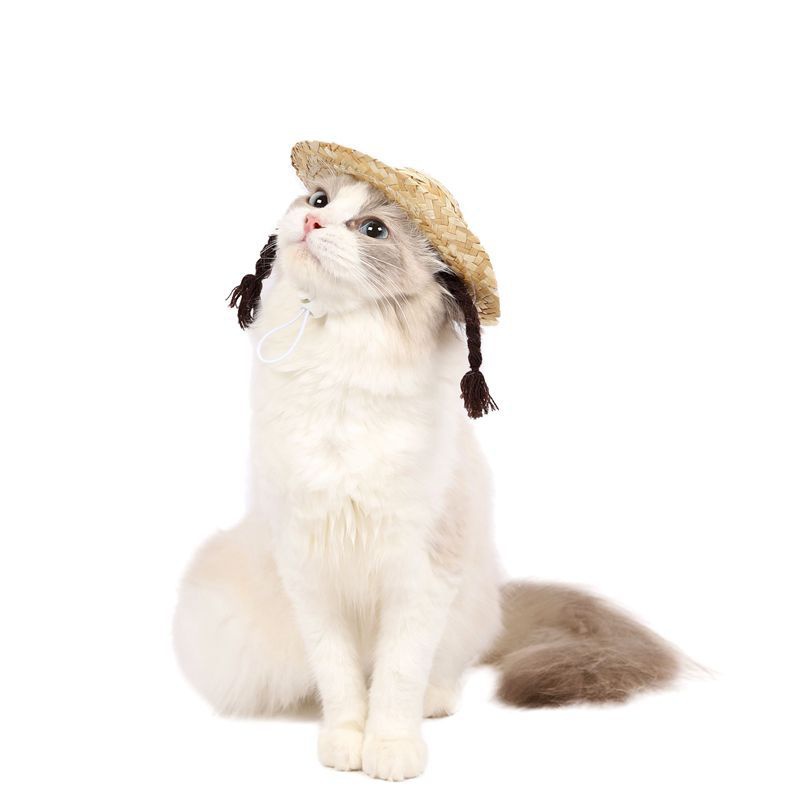 Animal de compagnie chat chien lapin t tress chapeau de paille dcoration mignonne pour animaux de compagnie