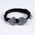 Pet British Style Bow Tie Collar Bow Cat Adjustable Collarpicture14