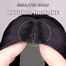 Percken der schwarzen Frauen chemische Faser glattes Haar Kopfbedeckungen Spitzeperckenpicture11