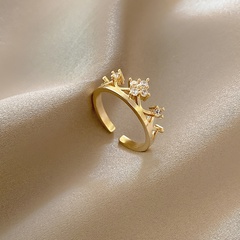fashion adjustable open ring zircon crown copper ring