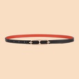 Womens Casual Ladies Thin Belt Simple Decorative Wholesalepicture14