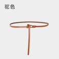 New nonporous knotted thin decorative belt womens fashion simple dress waistpicture18