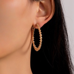 new prickly big circle geometric alloy earrings