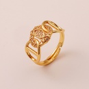 fashion geometric pig nose copper tail ring hip hop open ringpicture6