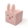 Farbquadrat niedliches Brenkaninchen speziell geformte GeschenkSigkeitsschachtel faltbare Verpackungsboxpicture10
