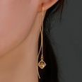 Fashion Copper Jewelry Piercing Cage Zircon Pendant Tassel Earringspicture19