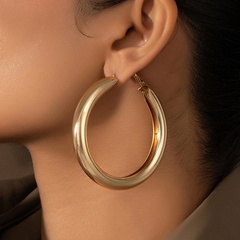 hyperbole geometric stripe solid color alloy hoop earrings wholesale