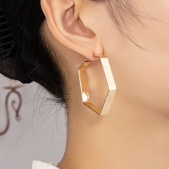 simple polygonal-shaped geometric earrings