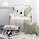 fashion simple solid color pillow cute zebra pattern pillowpicture1
