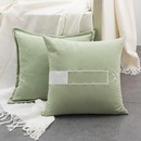 fashion simple solid color pillow cute zebra pattern pillowpicture2