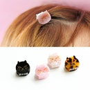 new childrens cat hair clip acetate sheet exquisite mini cat scratch clippicture7