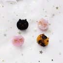 new childrens cat hair clip acetate sheet exquisite mini cat scratch clippicture8