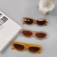 Vintage trendige transparente neue trendige runde schlichte Sonnenbrillen für Männer im Großhandel