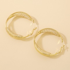 fashion geometric circle crystal alloy hoop earrings wholesale