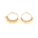 fashion gold geometric alloy tassel simple alloy earringspicture11