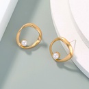 Fashion jewelry geometric retro matte alloy earrings womenpicture8