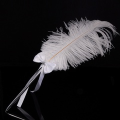 retro 42cm large feather pen creative wedding feather signature pen