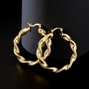 Modische verkupferte runde geometrische Ohrringe aus 18 Karat Goldpicture6