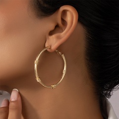Fashion simple retro matte circle metal earrings