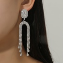 Fashion allmatch sparkling tassel crystal earrings Europe and the United States hot selling long earringspicture4