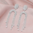 Fashion allmatch sparkling tassel crystal earrings Europe and the United States hot selling long earringspicture5